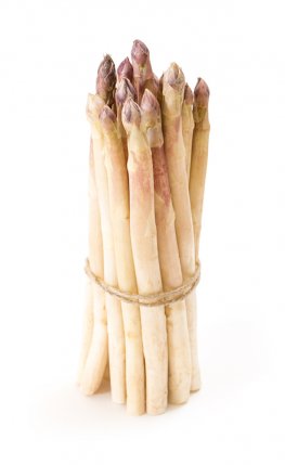 White Asparagus 