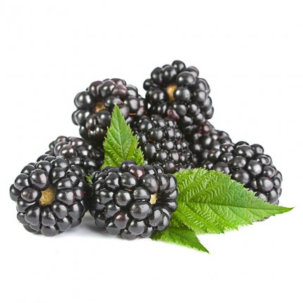 Blackberries