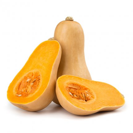 Butternut Squash