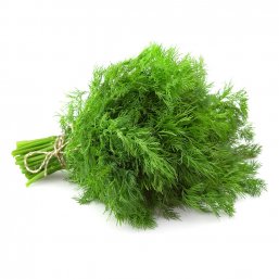 Dill