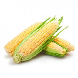 Fresh Corn