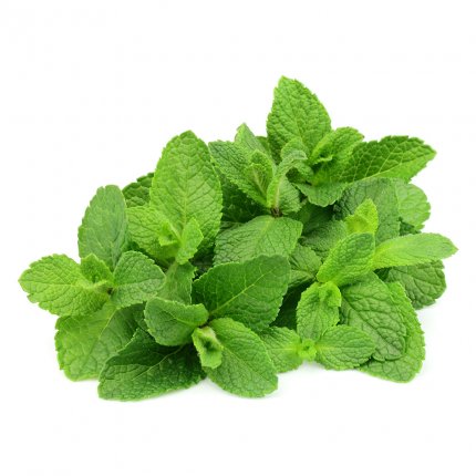 Fresh Mint