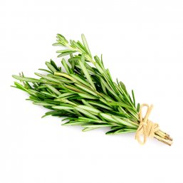 Fresh Rosemary