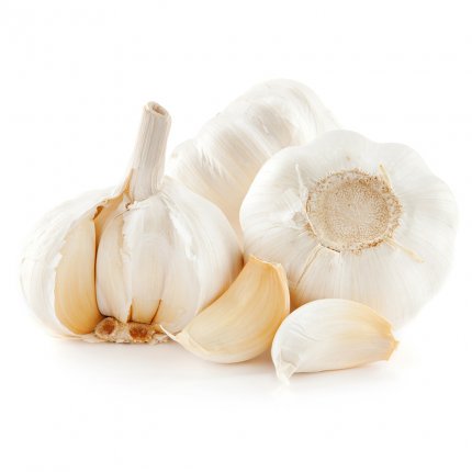 Fresh Garlic