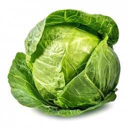 Green Cabbage