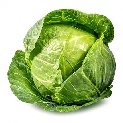 Green Cabbage