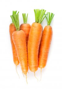 Loose Carrots