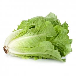 Organic Lettuce