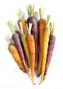 Rainbow Carrots