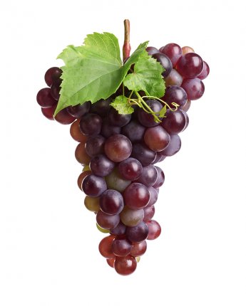 Red Seedless Grapes