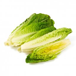 Romaine Lettuce Hearts