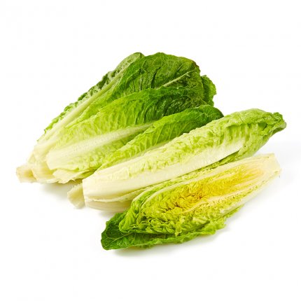 Romaine Lettuce Hearts