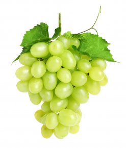 Green Seedless Grapes