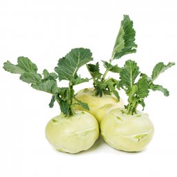 White Turnip